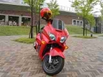 DYNA����̈��l